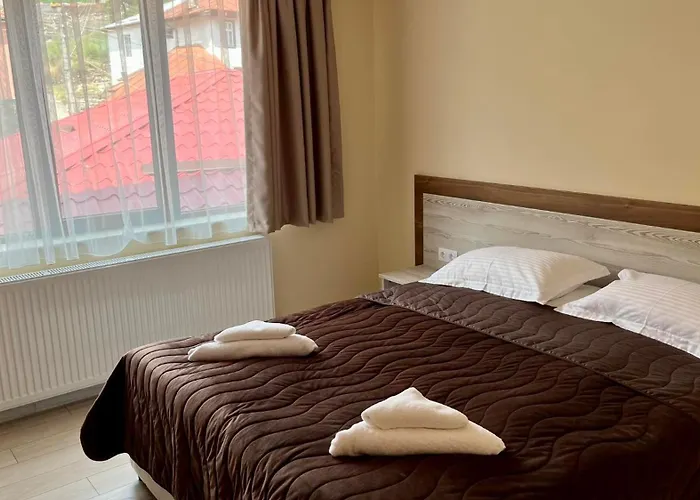 михаела Chepelare