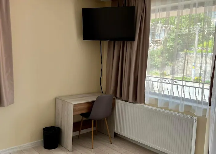 михаела Konukevi *